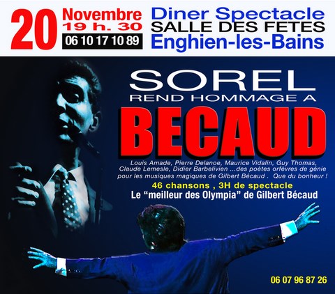 Affiche Spectacle Salle Des Fêtes Enghien-Les-Bains 20 Novembre 2015